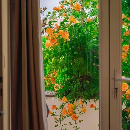 Maison Provence